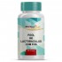 Pool de Lactobacilus Com Fos com 60 Doses